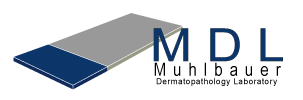 MDL Logo